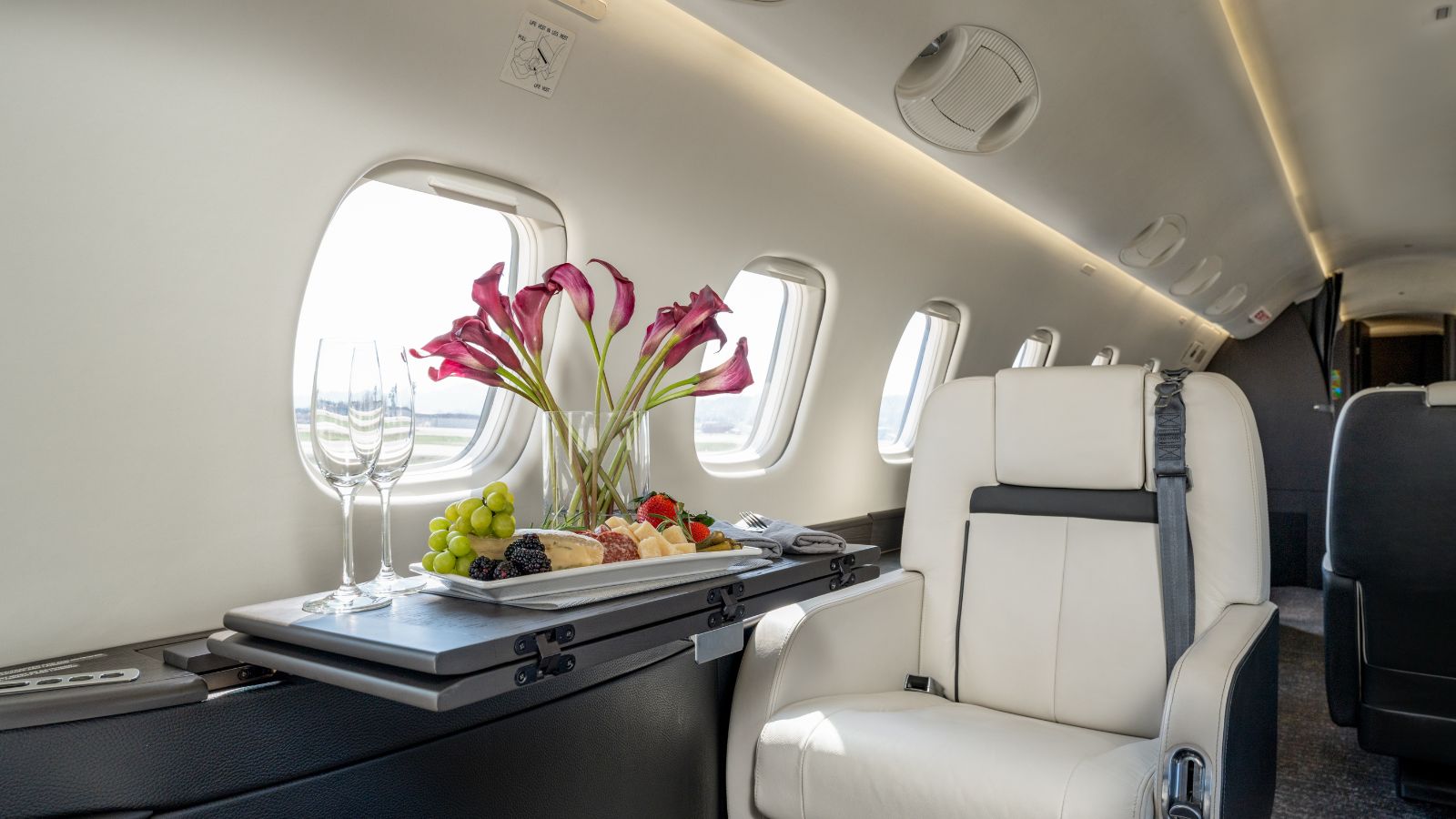 Legacy 600 2
